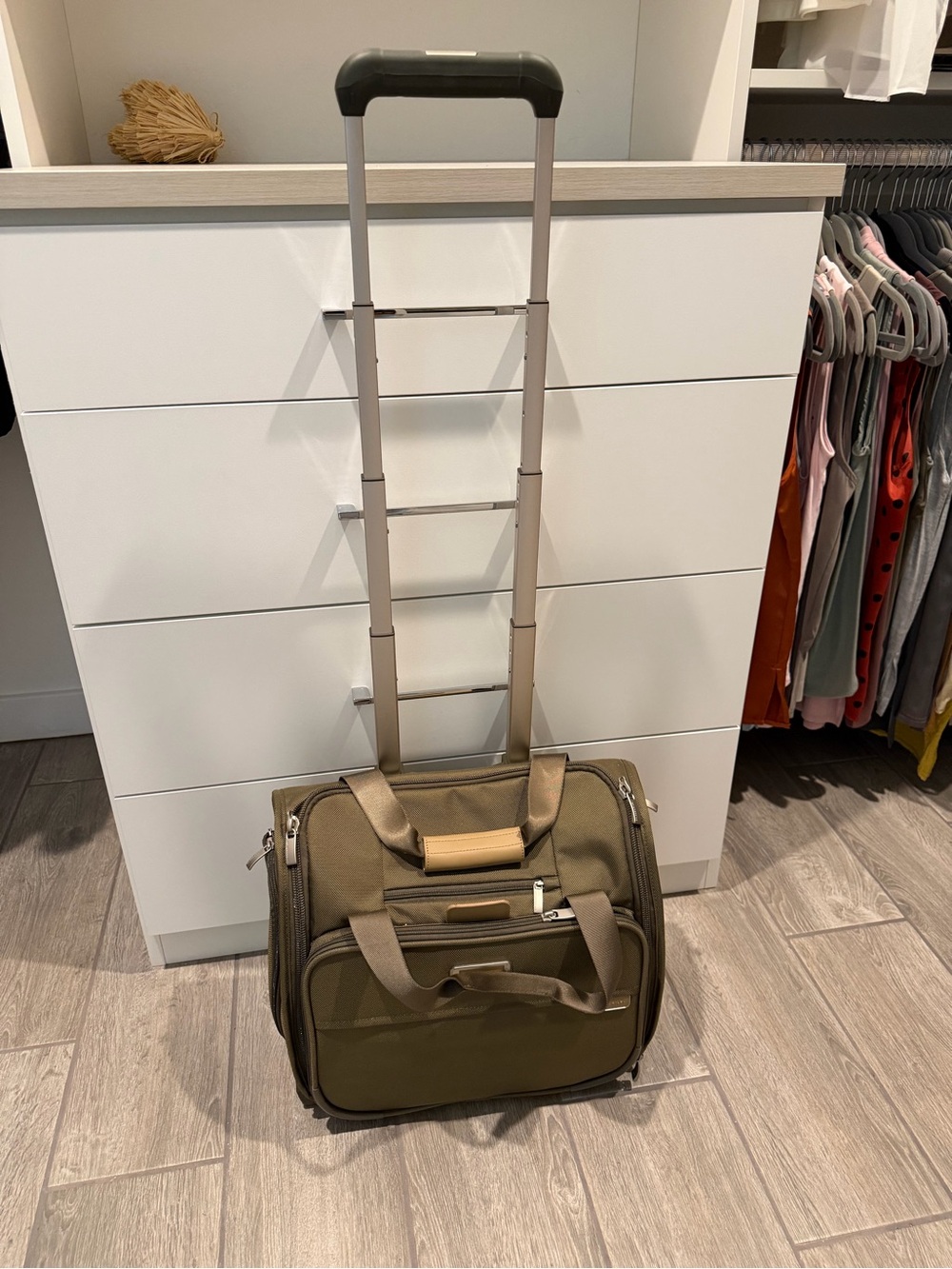 Briggs & Riley Olive 2-Wheel Cabin Carry-On